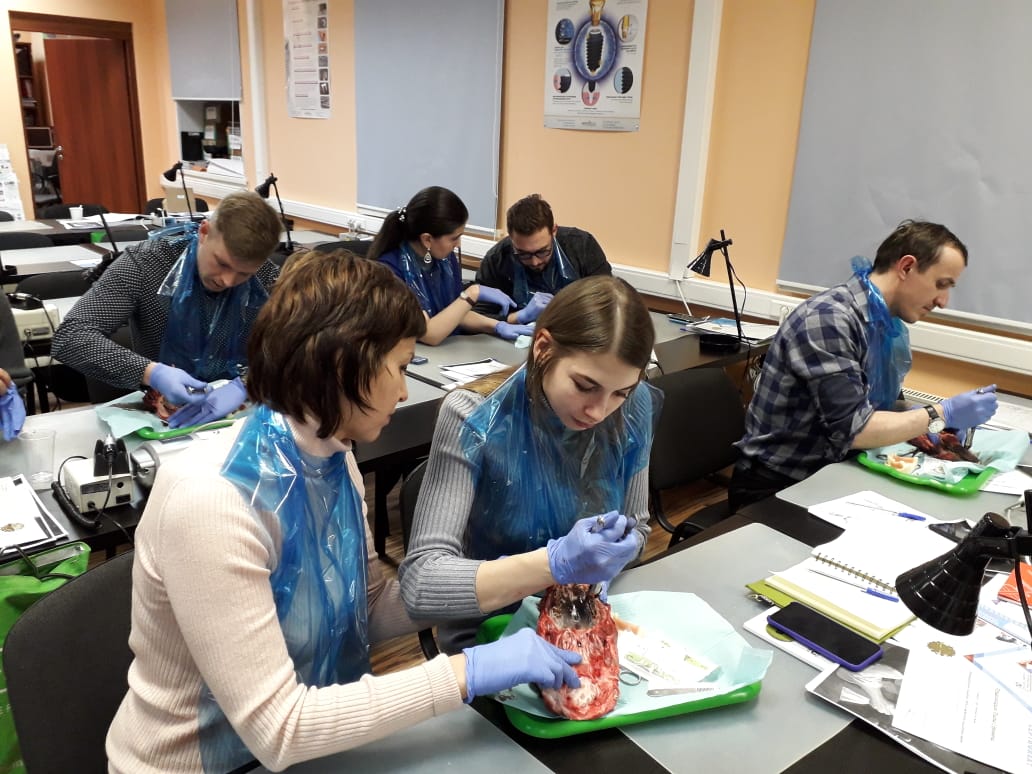 Атравматичное удаление зубов и методики наложения швов