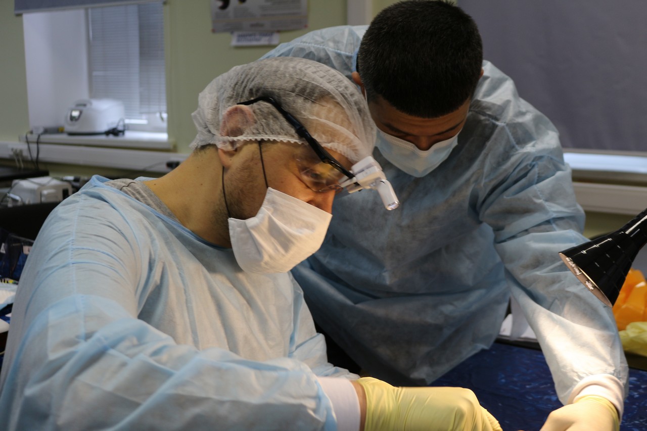 Пост-релиз. Кадавер-курс 1 марта