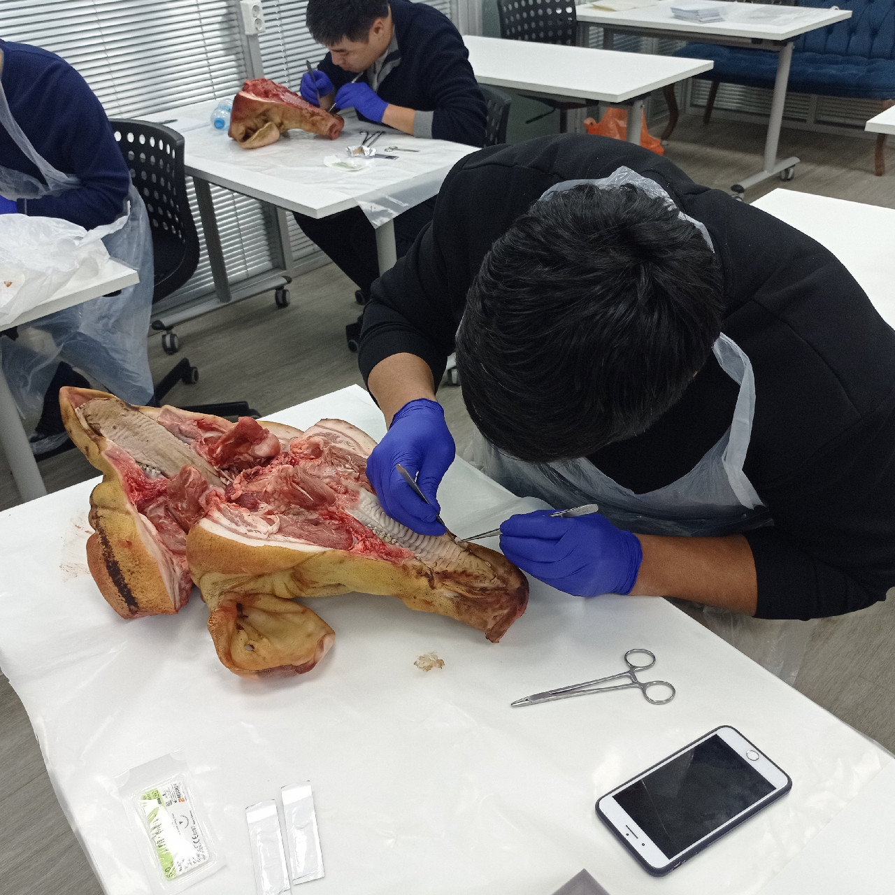 Пластика мягких тканей вокруг имплантатов. PRF в стоматологии. Курс в Казахстане