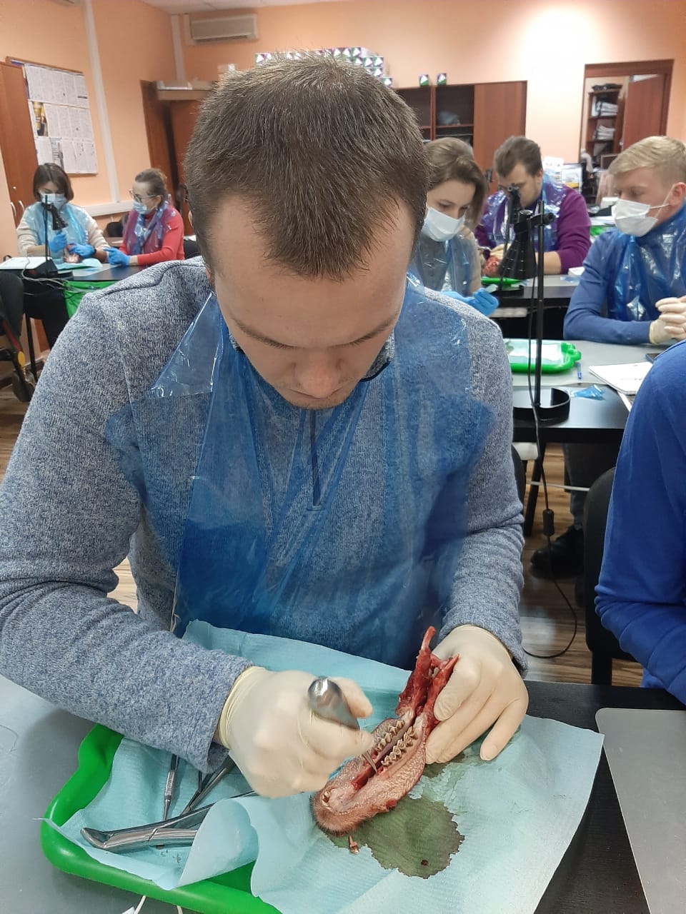 Атравматичное удаление зубов и методики наложения швов. Пост-релиз 11.12.20