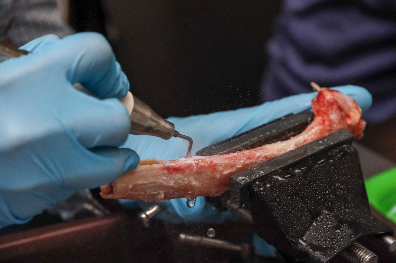 Продвинутый курс по имплантации: костная пластика и синус-лифтинг 13-14 сентября