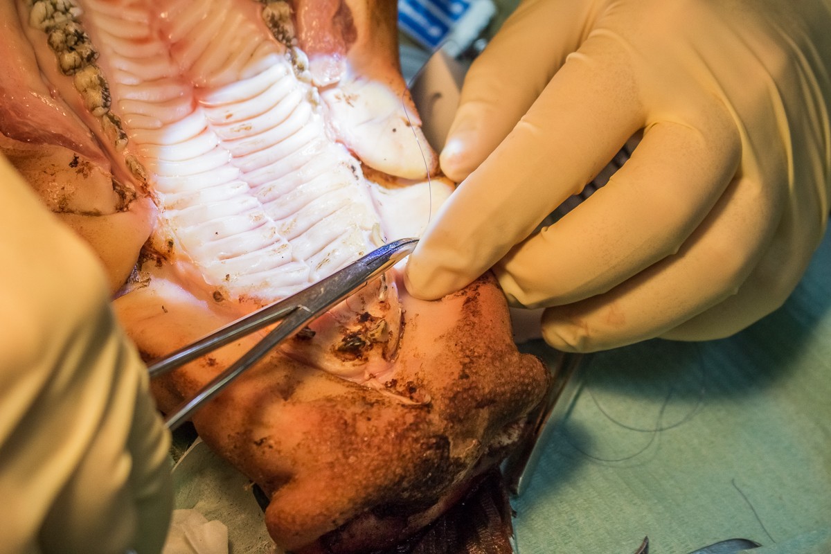 Эксклюзивный мастер-класс Ховарда Глюкмана 18 октября