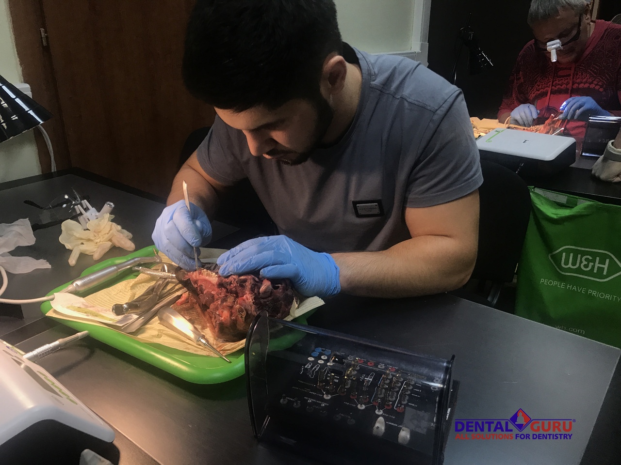 Курс Виталия Панцулая: одномоментная имплантация и немедленная нагрузка