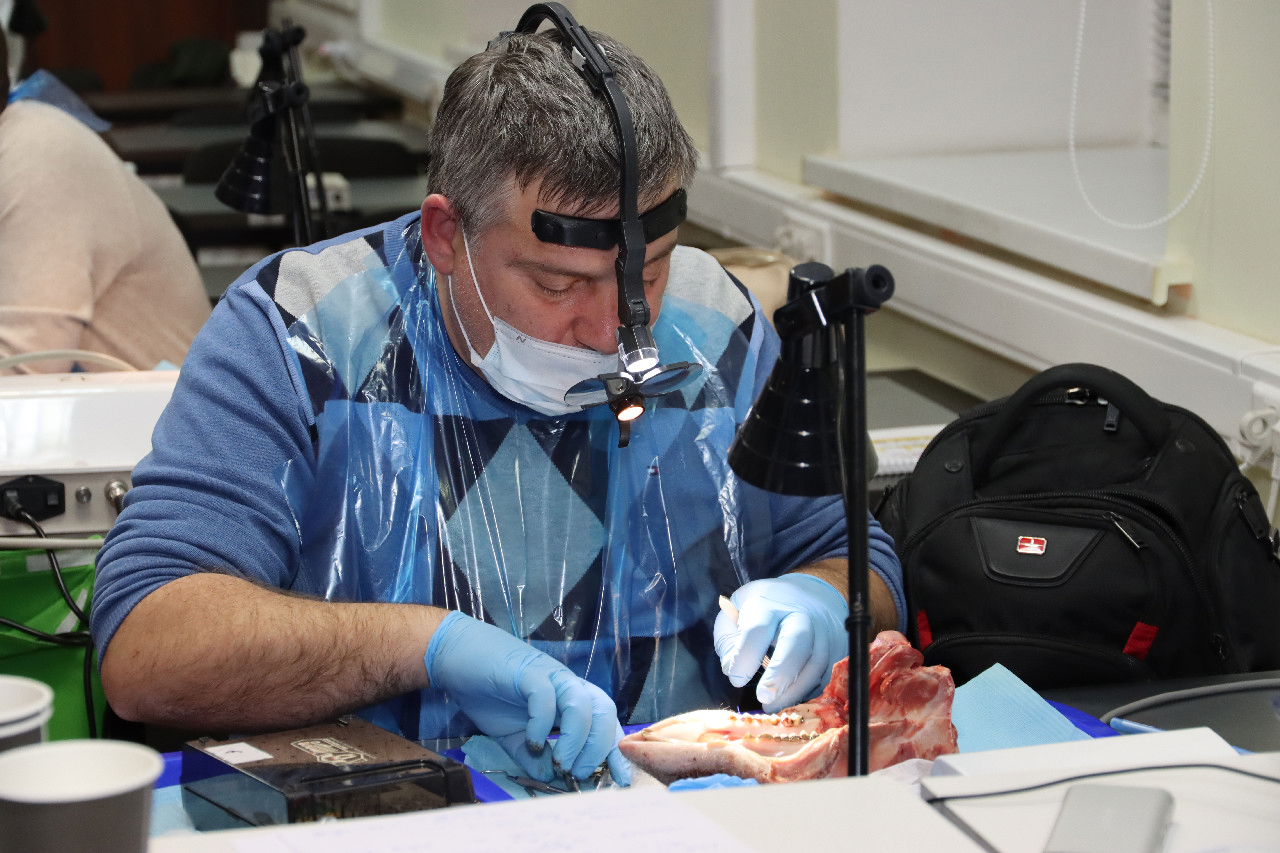 Продвинутый курс по пластике мягких тканей