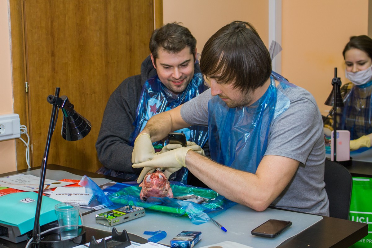 21 ноября 2019: курс Камиля Наильевича Хабиева «Атравматичное удаление зубов и методики наложения швов».