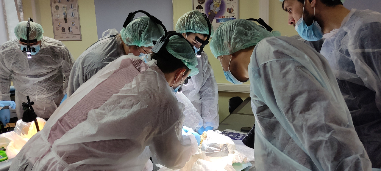 Кадавер-курс 