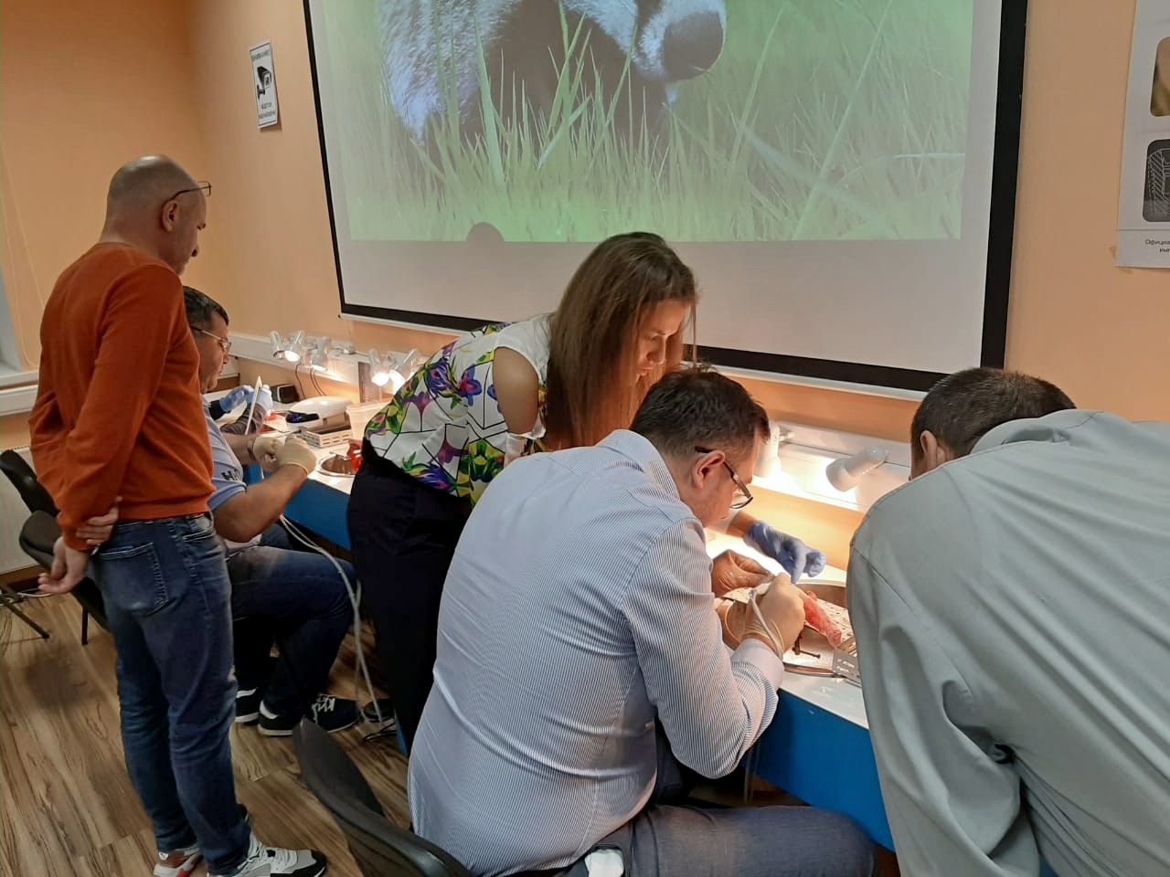 Продвинутый курс по имплантации 26.09.2020