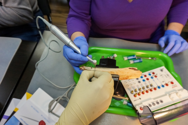 Базовый курс по имплантации в Москве