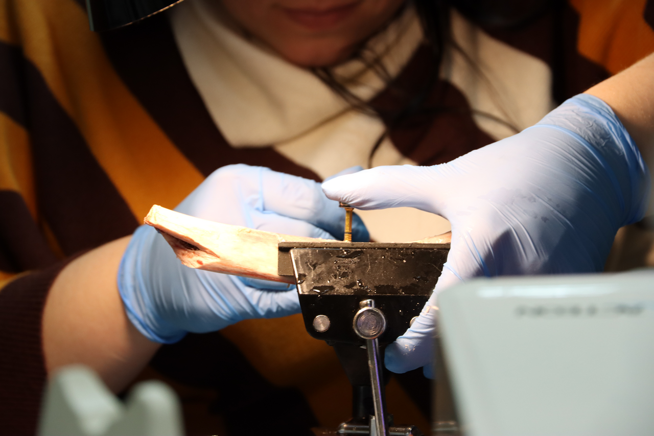 Продвинутый курс по имплантации 10-11 февраля