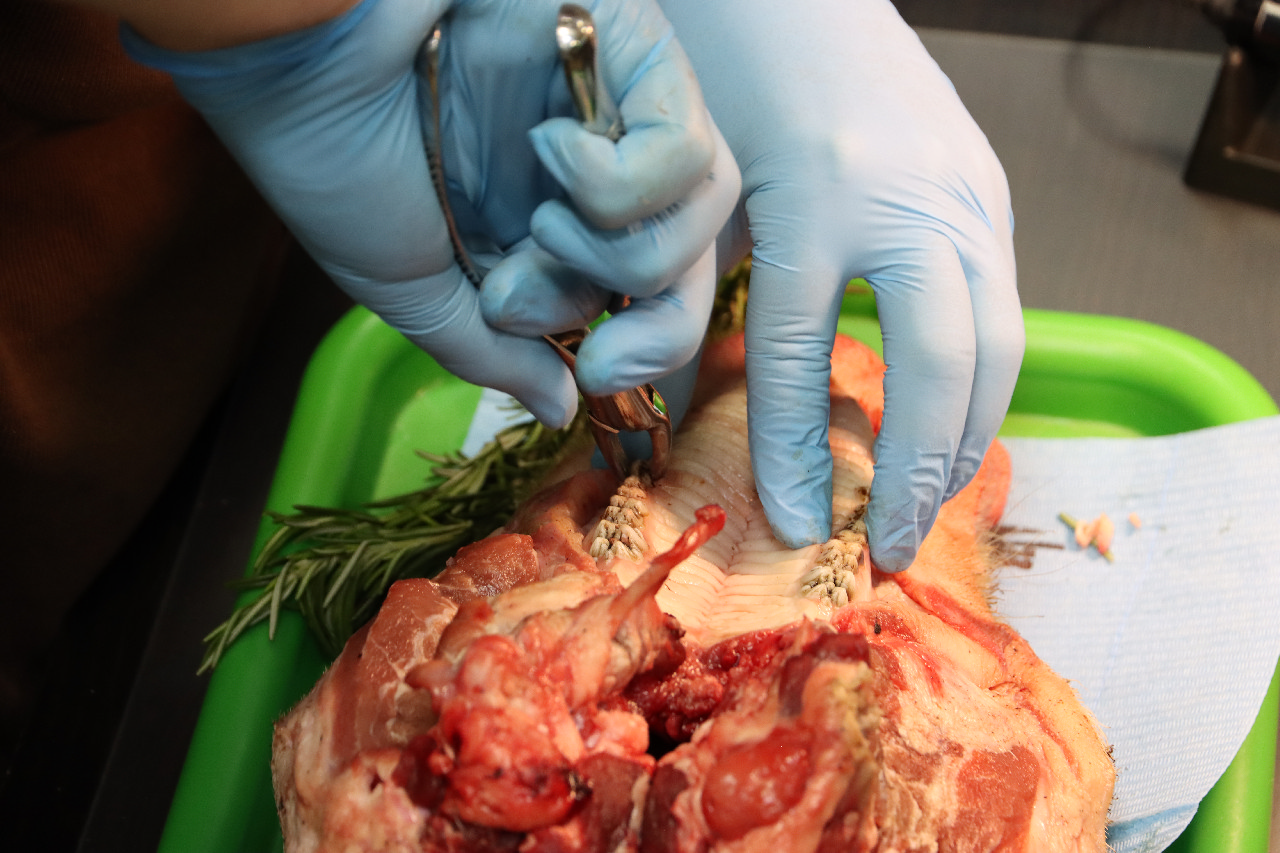 Атравматичное удаление зубов и методики наложения швов