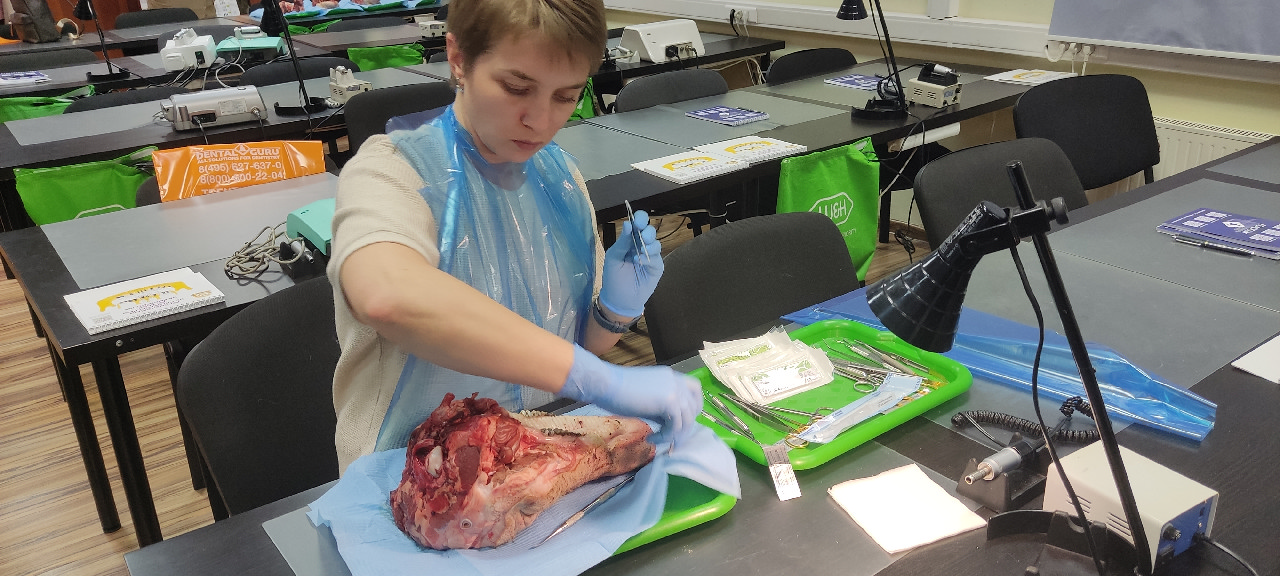 Хирургический курс по пародонтологии