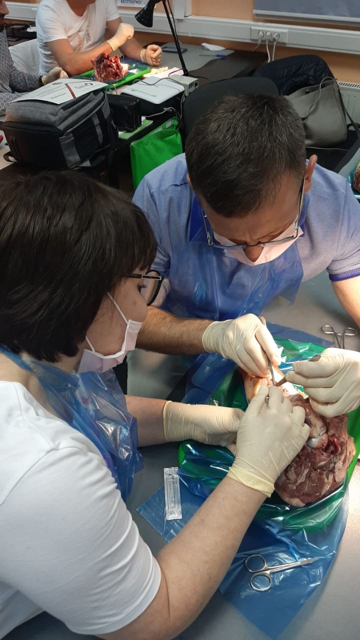 16-17 сентября 2020. Панцулая В.Г. Пластика мягких тканей вокруг имплантатов. Морфологический подход