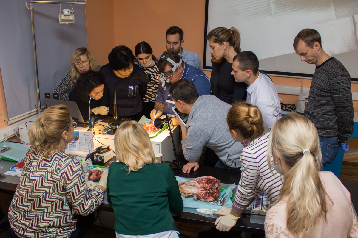 Хирургический курс по пародонтологии