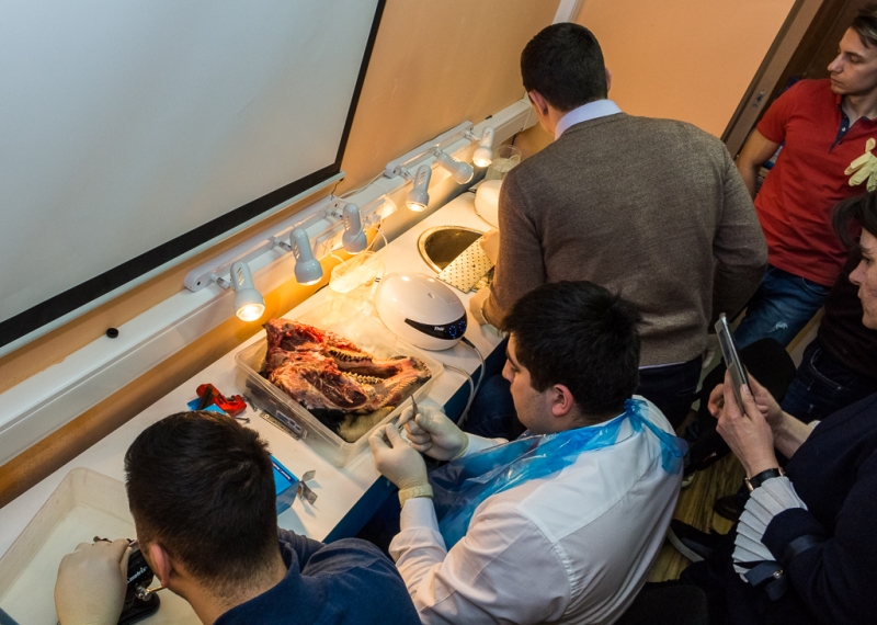 Продвинутый курс по имплантации. Костная пластика