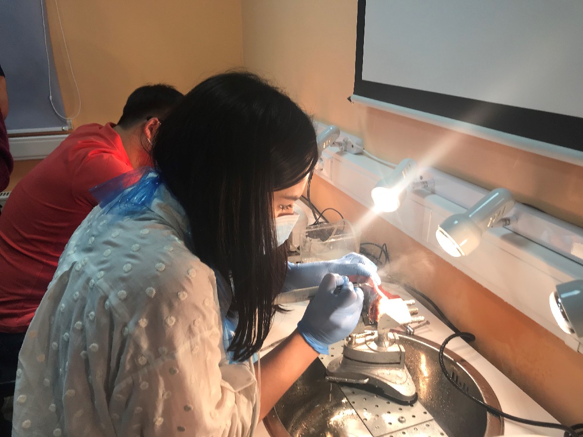 Продвинутый курс по имплантации. Костная пластика. 5-6 марта.