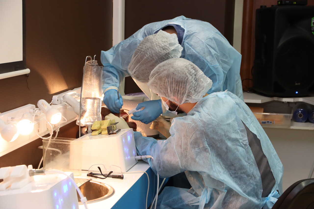 Кадавер-курс Виталия Георгиевича Панцулая 14 ноября