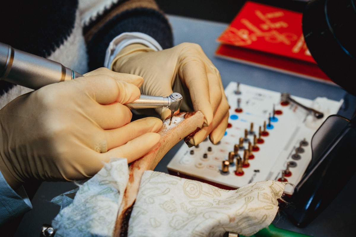 Базовый курс по имплантации, 29 и 30 ноября 2019г.