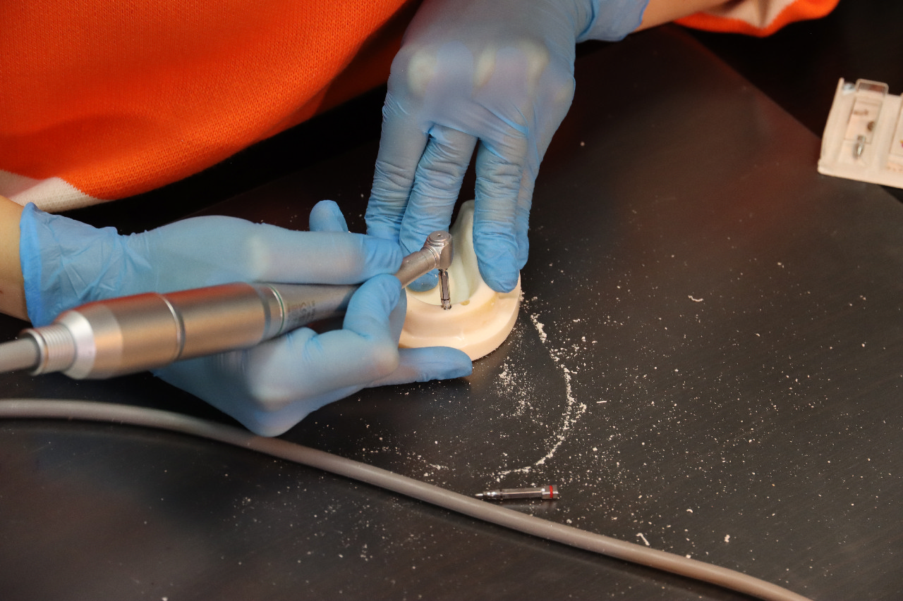 Ортопедия. Уровень Intermediate