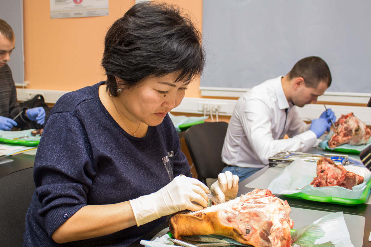 Хирургический курс по пародонтологии