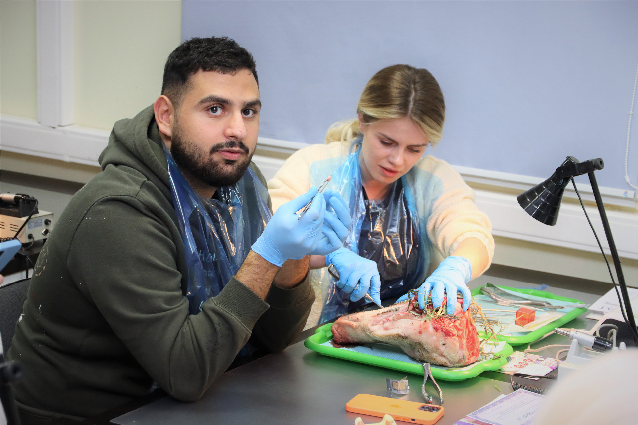 Атравматичное удаление зубов и методики наложения швов