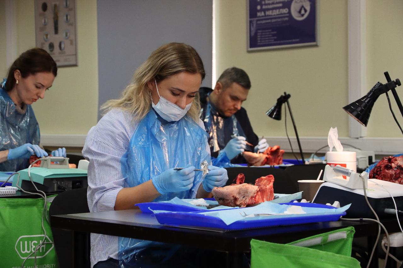 Продвинутый курс по пластике мягких тканей