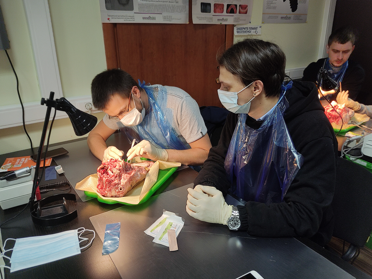 Пластика мягких тканей вокруг имплантатов. Морфологический подход