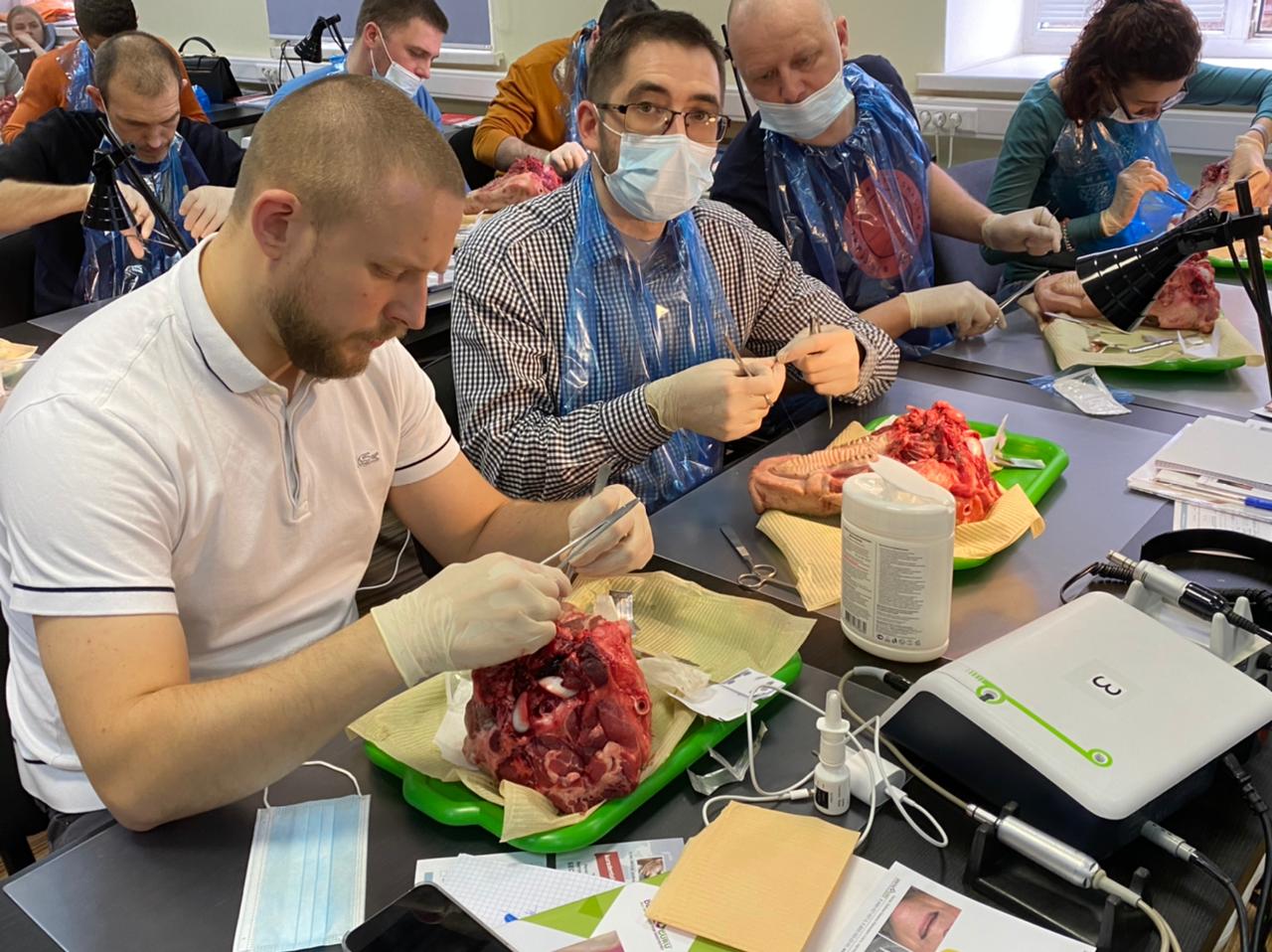 Пластика мягких тканей вокруг имплантатов. Морфологический подход