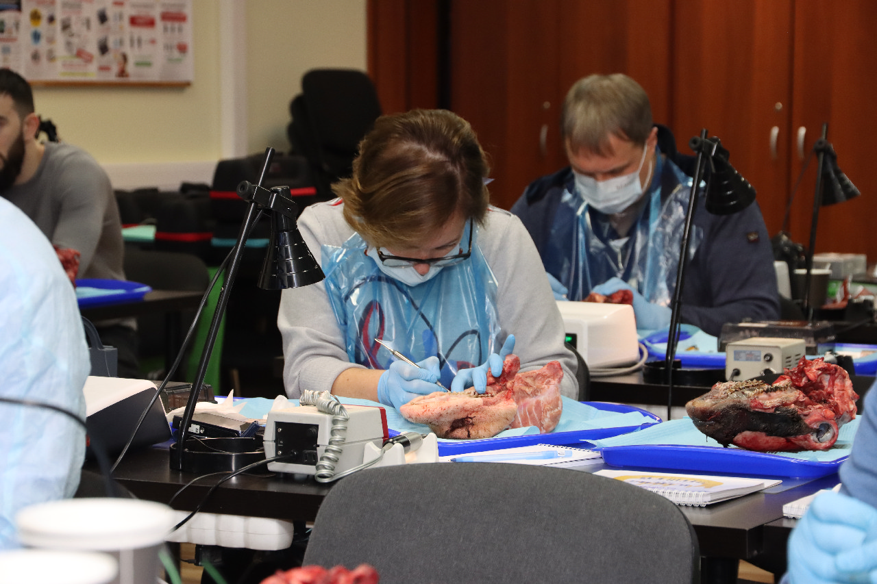 Продвинутый курс по пластике мягких тканей