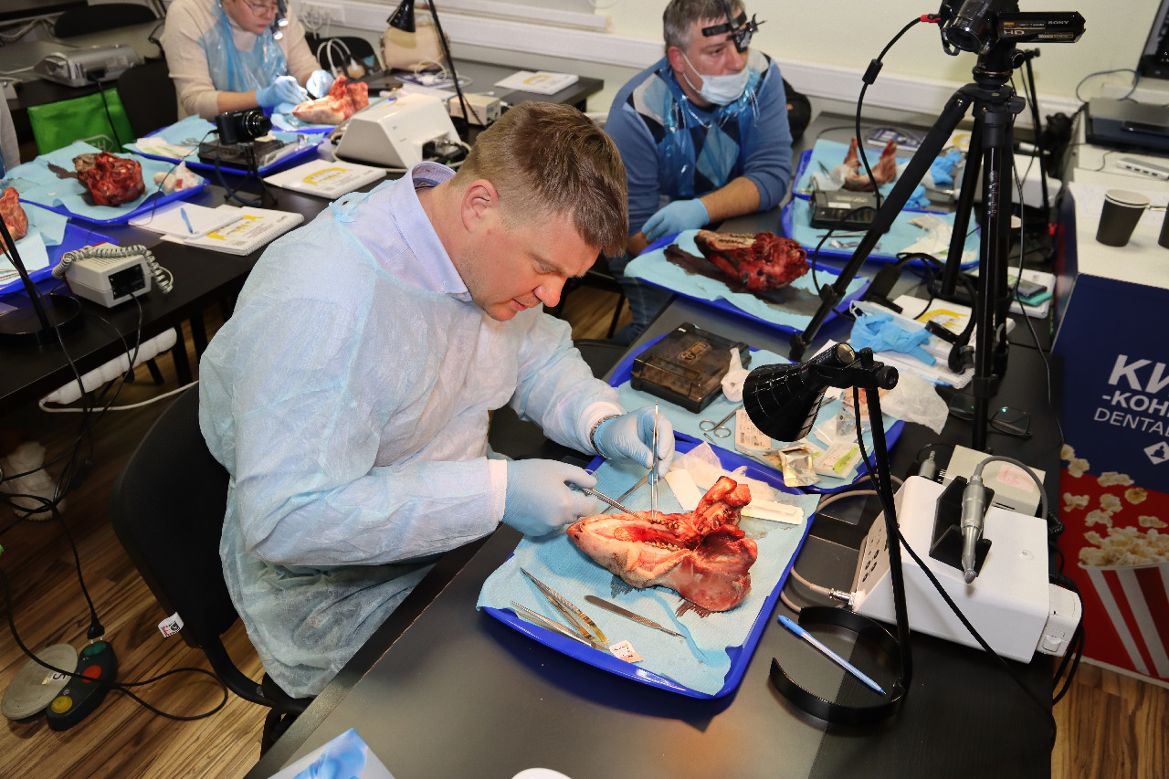 Продвинутый курс по пластике мягких тканей