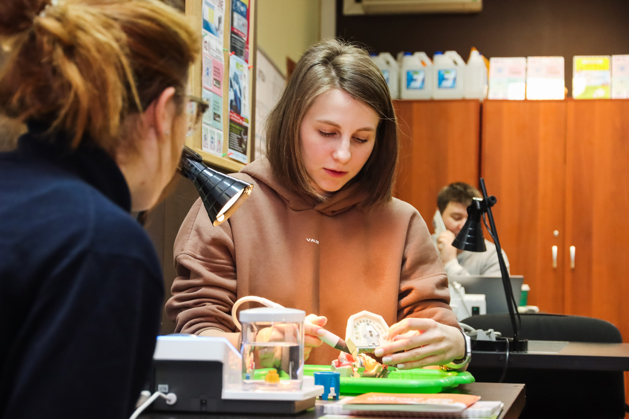 Принципы алгоритма при проведении профессиональной гигиены