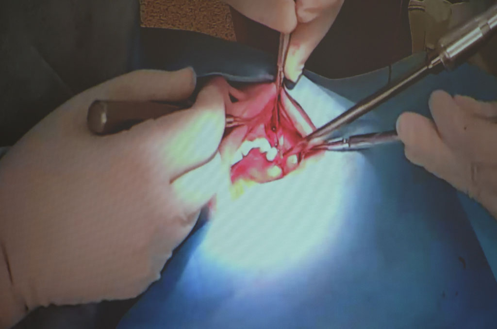 Российско-Корейский Медицинский Конгресс!