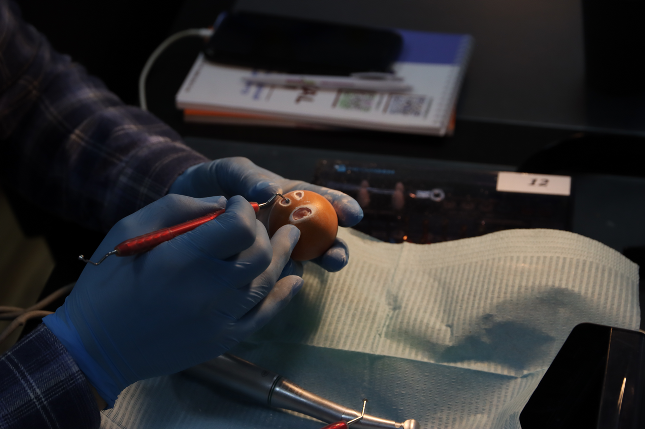 Продвинутый курс по имплантации 10-11 февраля