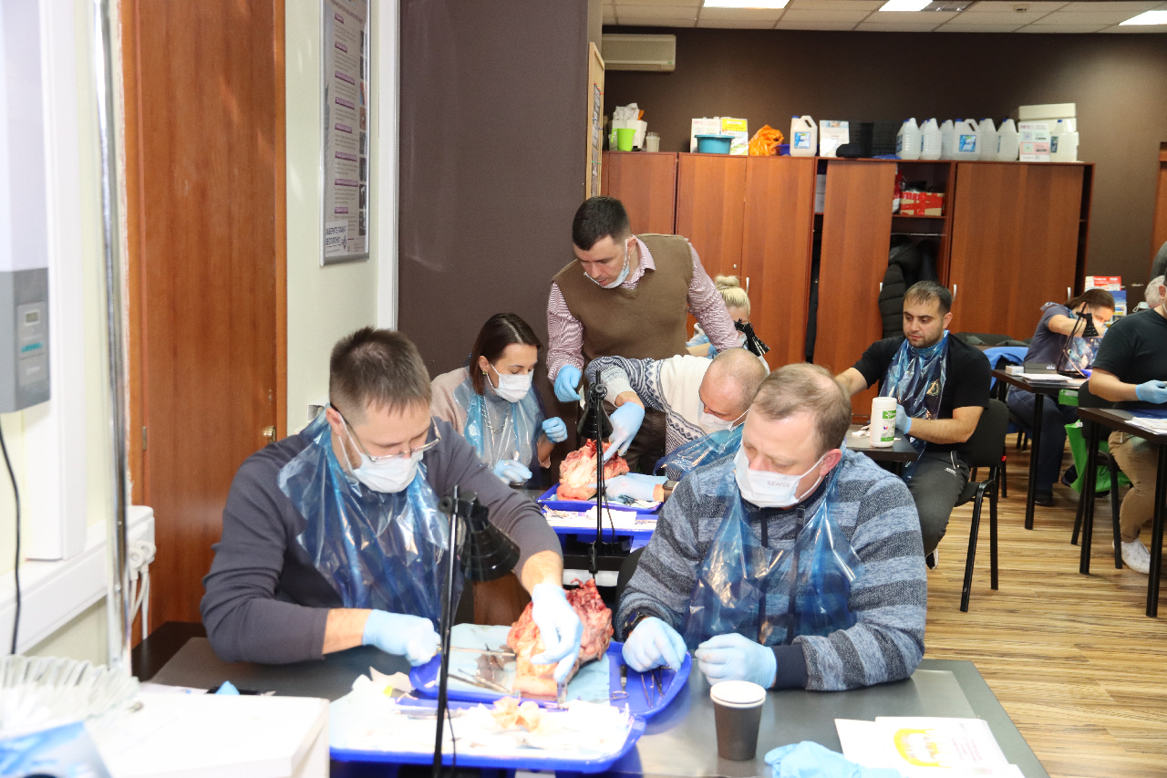 Пластика мягких тканей вокруг имплантатов. Морфологический подход