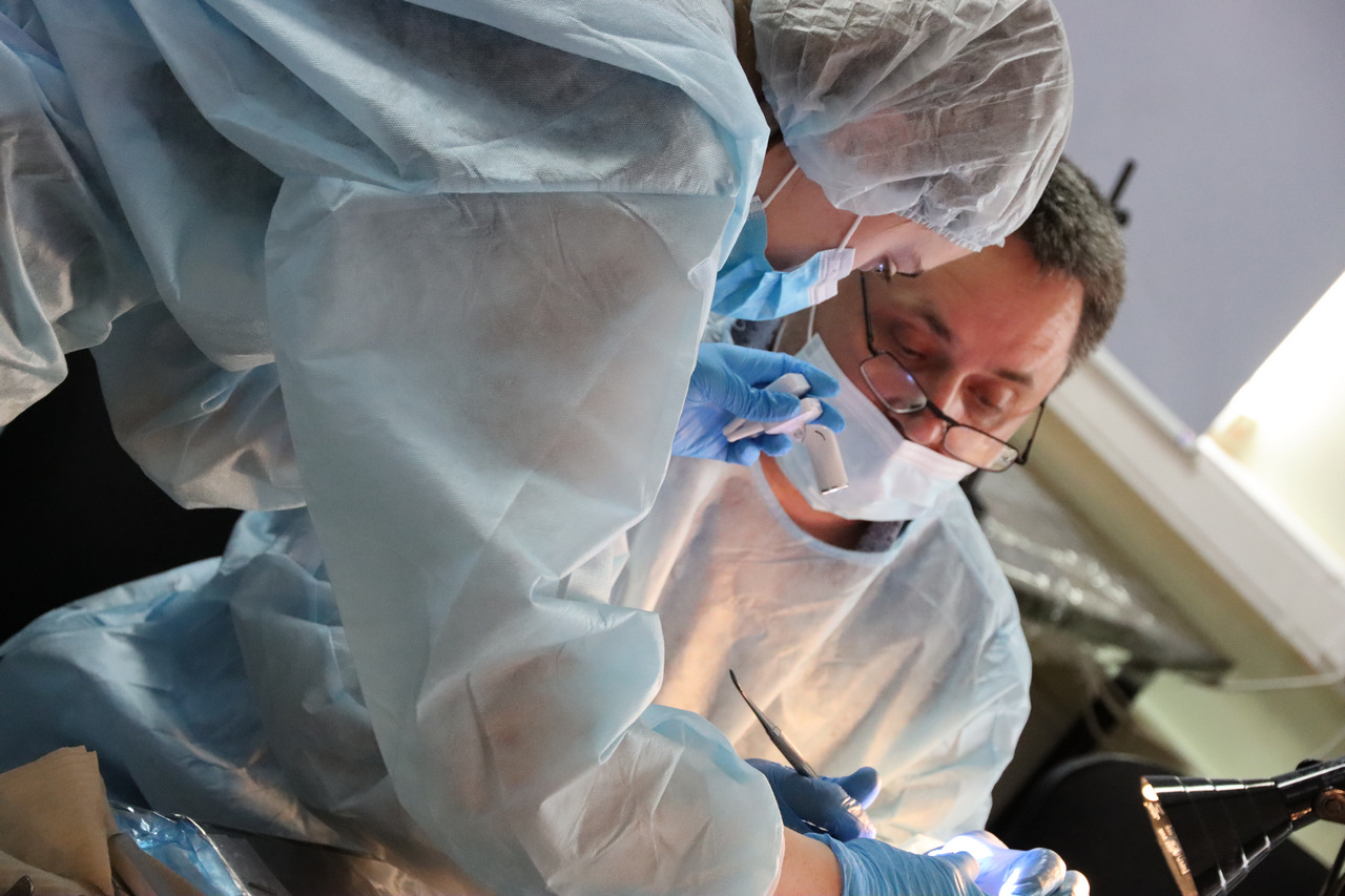 Кадавер-курс Виталия Георгиевича Панцулая