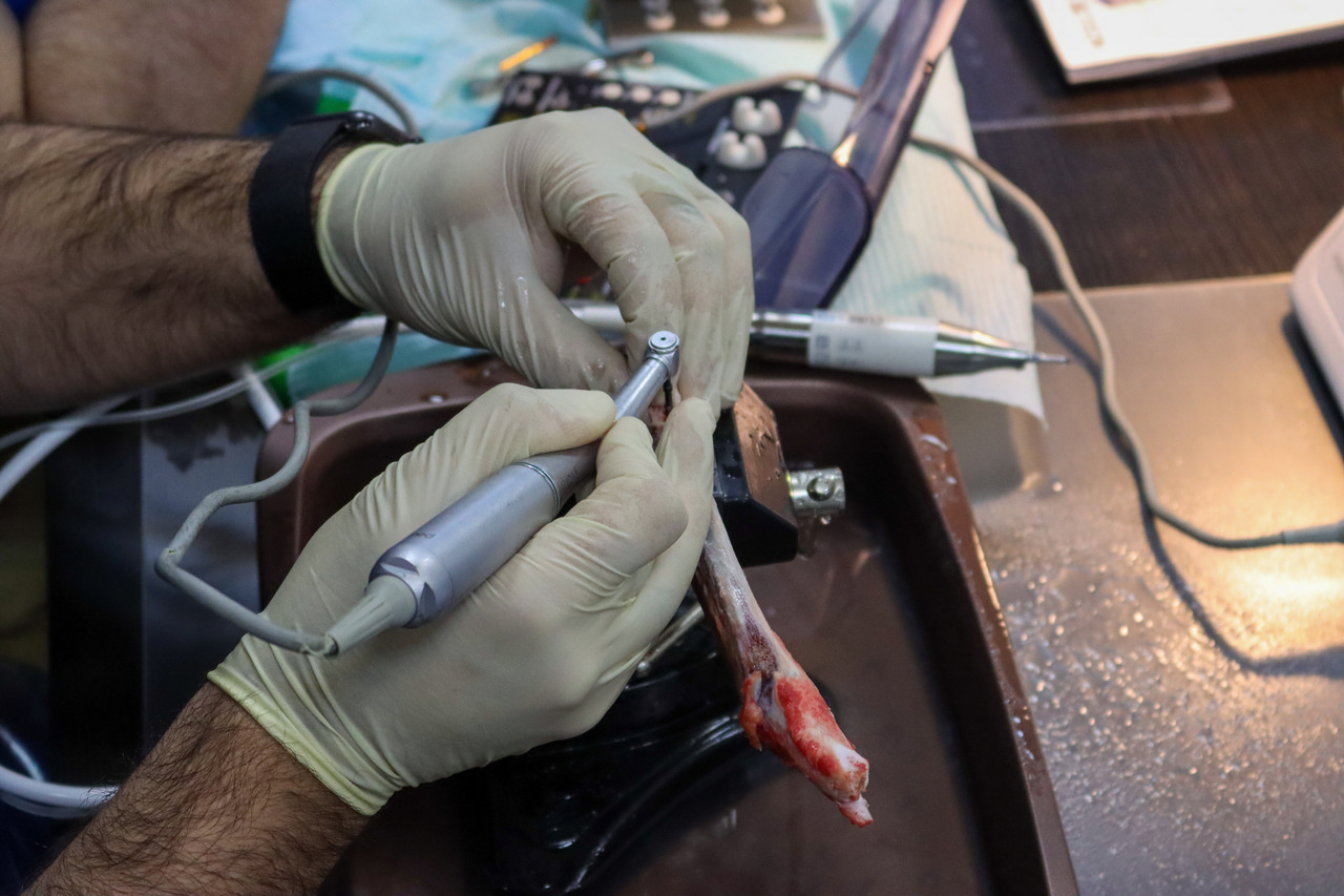 Продвинутый курс по имплантации. Костная пластика и синус-лифтинг