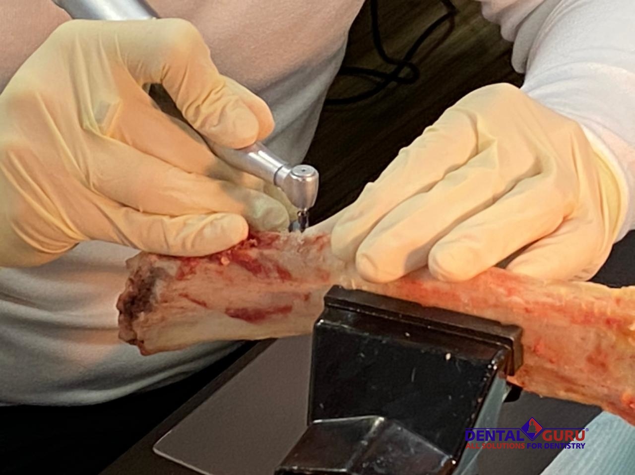 Базовый курс по имплантации. Пост-релиз 23-24 января