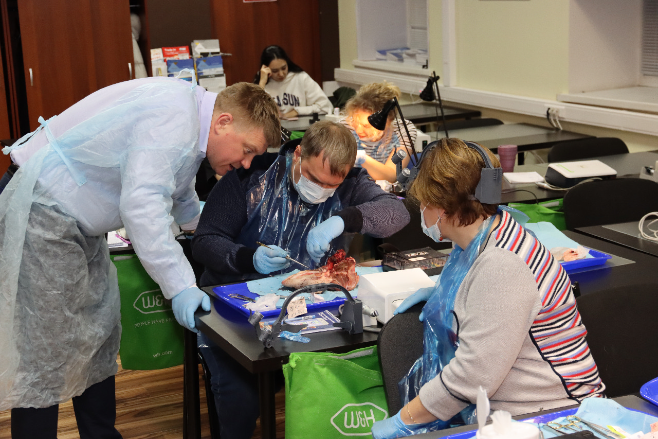 Продвинутый курс по пластике мягких тканей