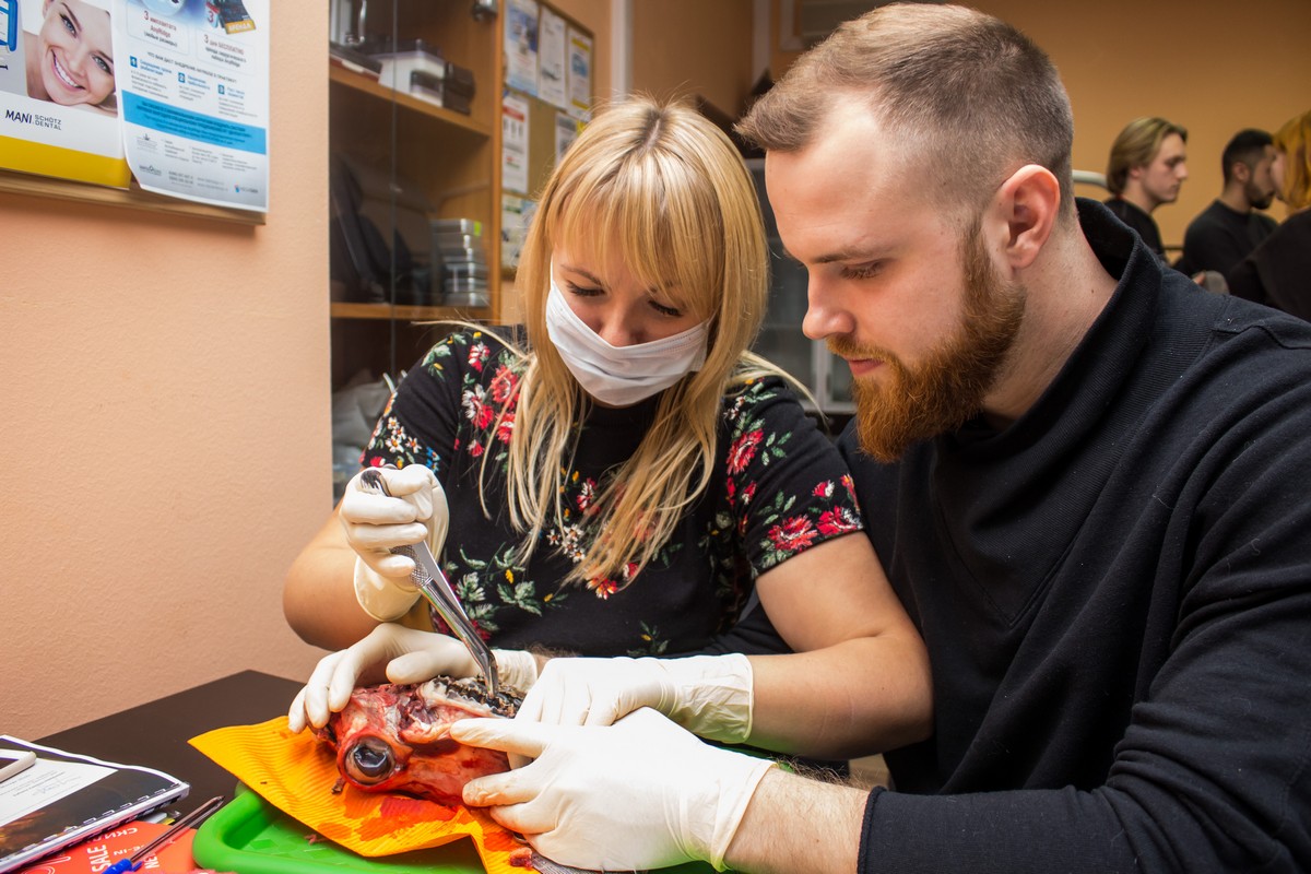 Атравматичное удаление зубов и методики наложения швов