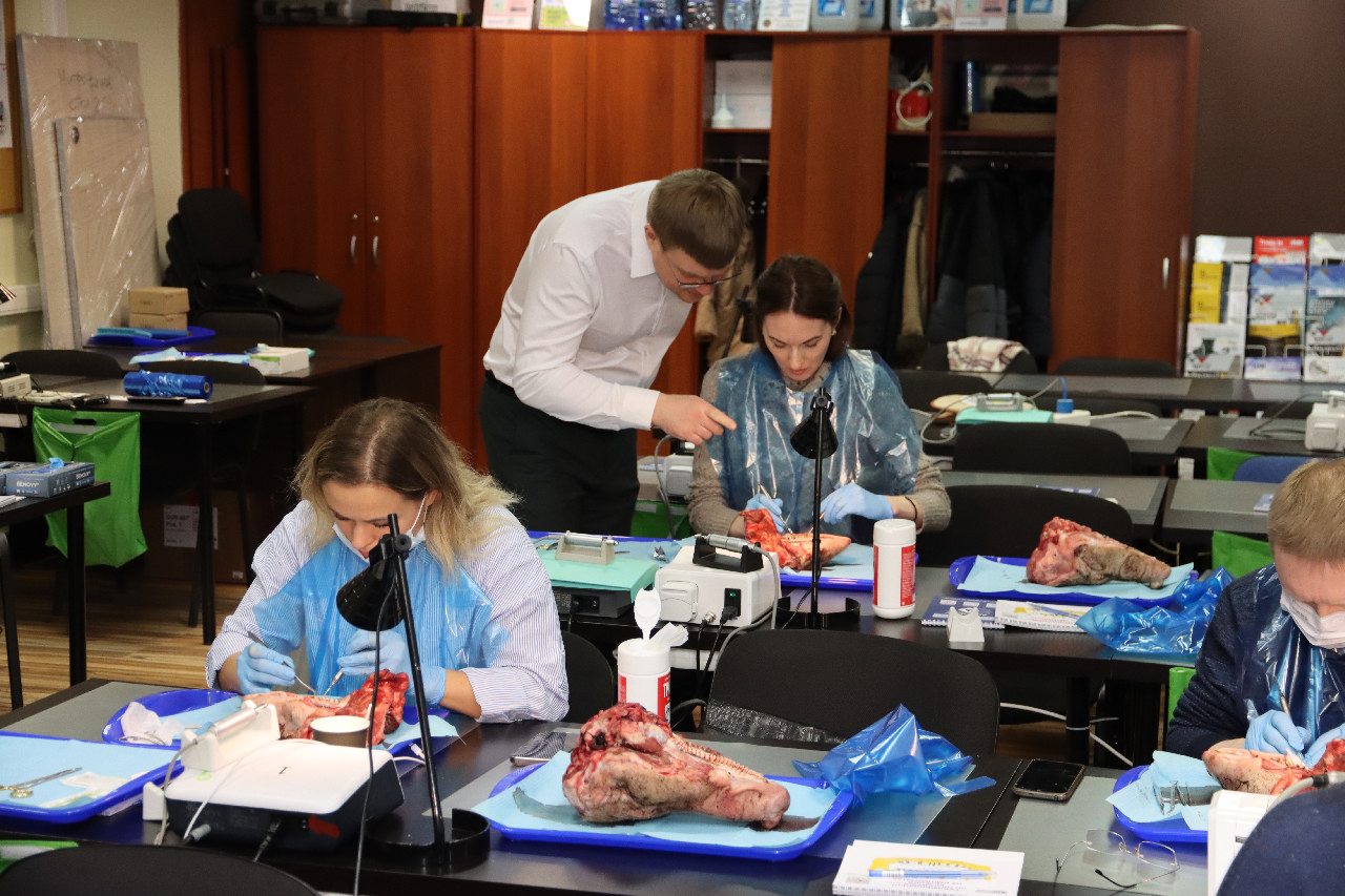 Продвинутый курс по пластике мягких тканей