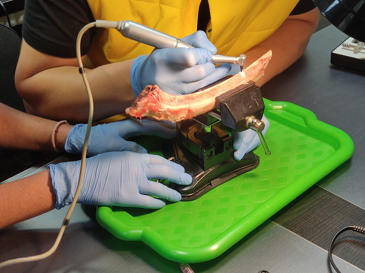 Базовый курс по имплантации