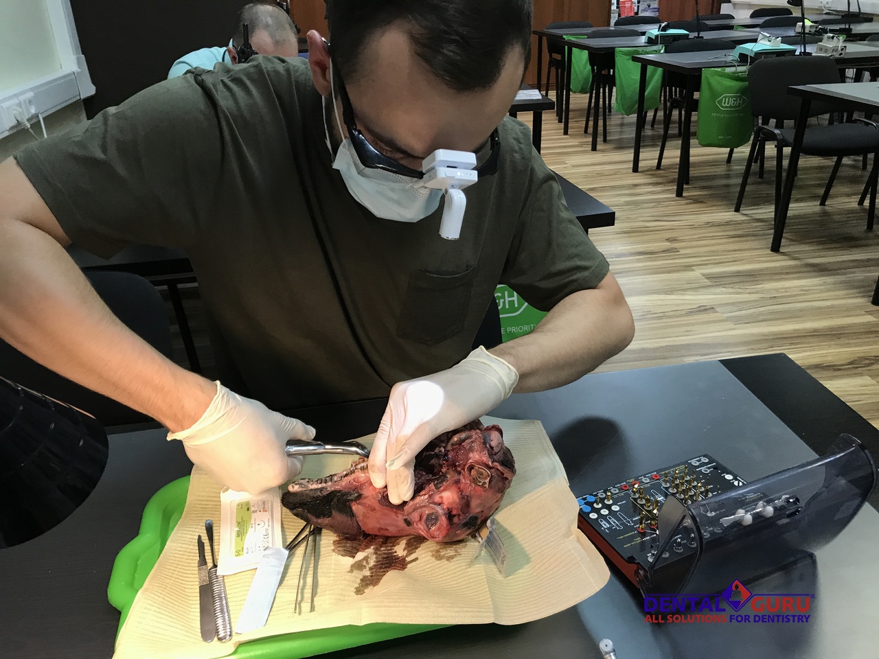 Курс Виталия Панцулая: одномоментная имплантация и немедленная нагрузка