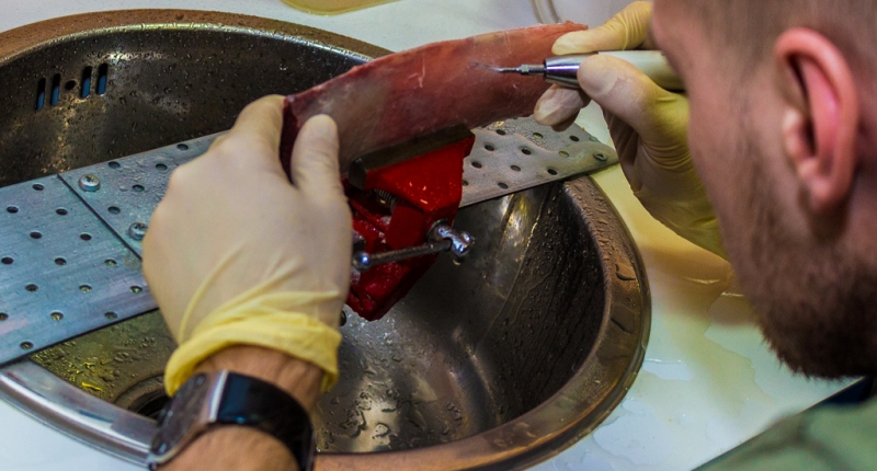 Продвинутый курс по имплантации. Костная пластика