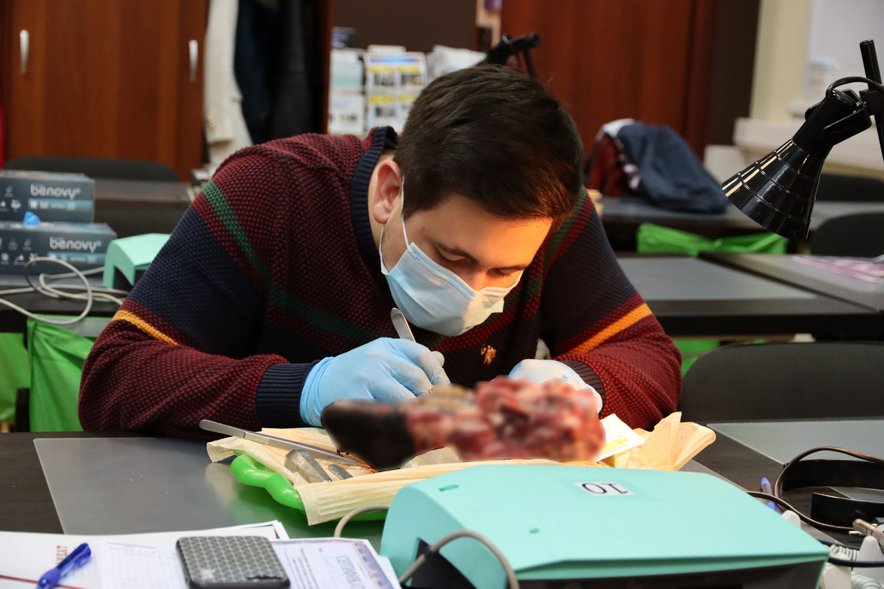 Атравматичное удаление зубов и методики наложения швов