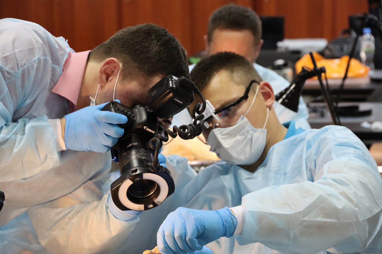 Кадавер-курс Виталия Георгиевича Панцулая