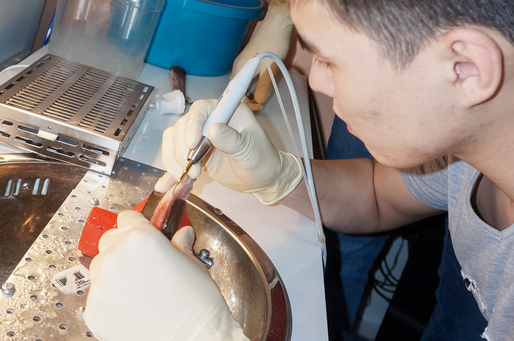 Продвинутый курс по имплантации. Костная пластика