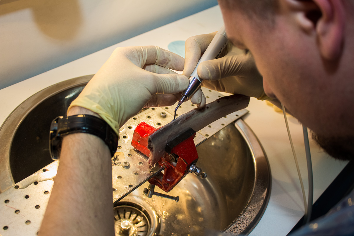 Виталий Георгиевич Панцулая: Продвинутый курс по имплантации. Костная пластика. 5-6 сентября