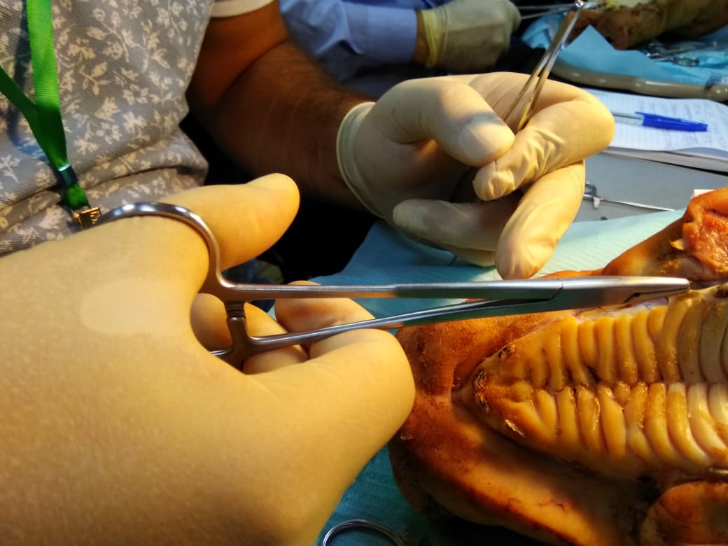 Эксклюзивный мастер-класс Ховарда Глюкмана 18 октября