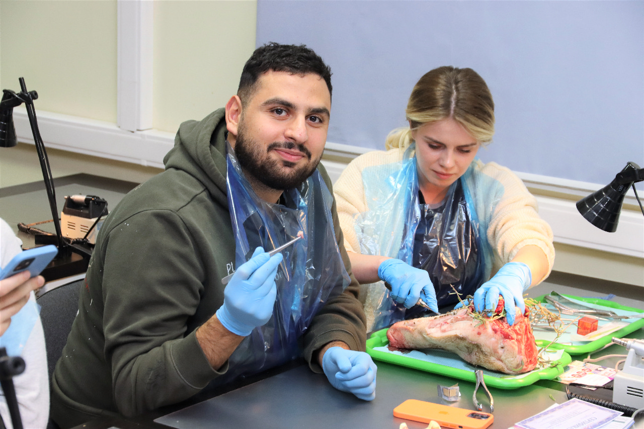 Атравматичное удаление зубов и методики наложения швов