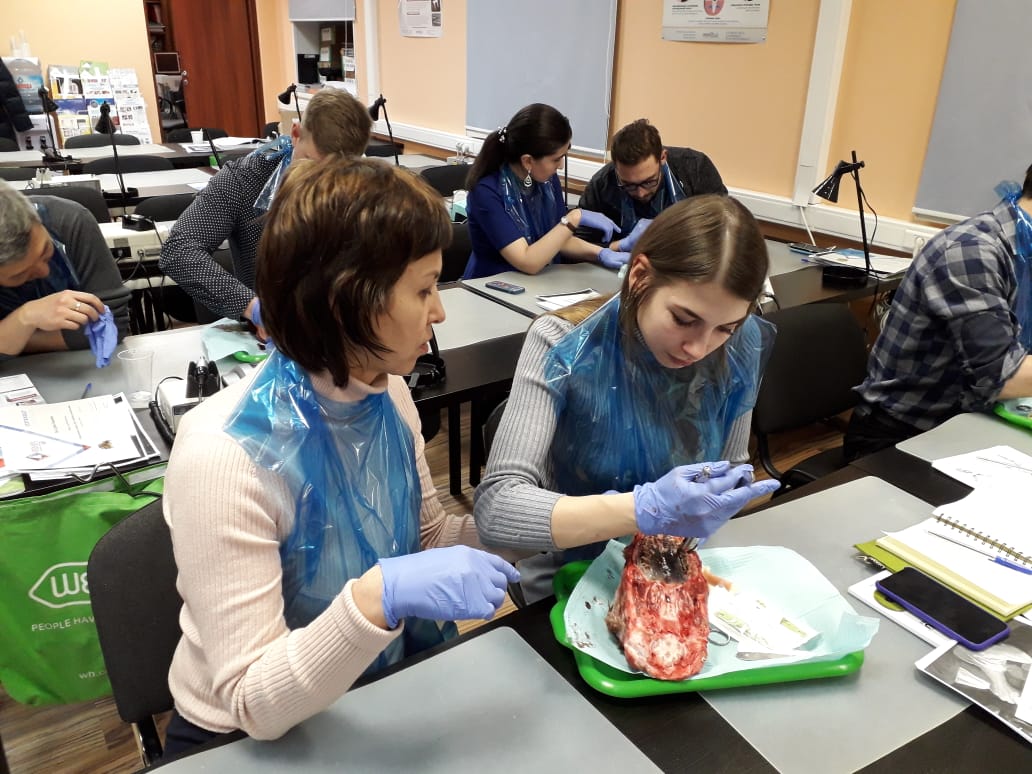 Атравматичное удаление зубов и методики наложения швов