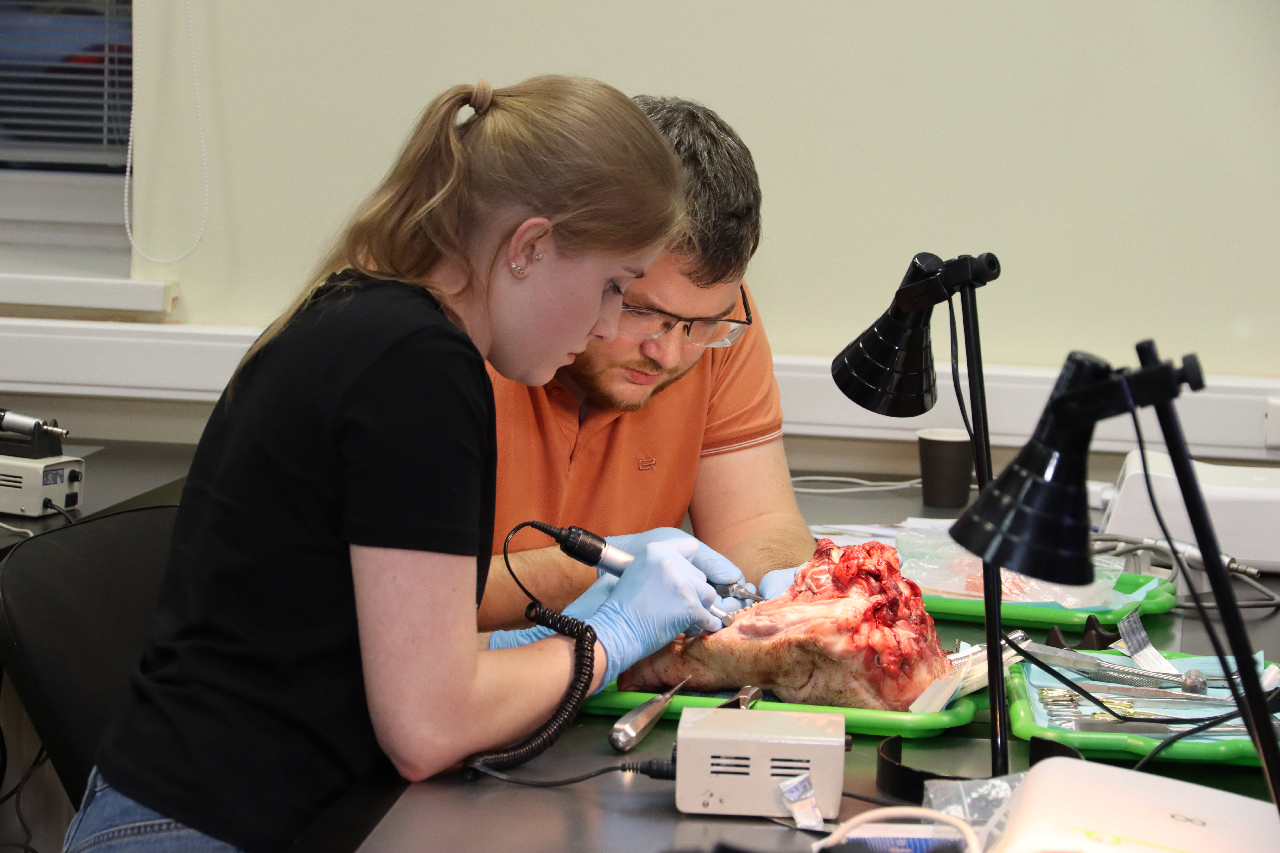 Атравматичное удаление зубов и методики наложения швов